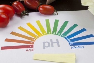 pH pada makanan